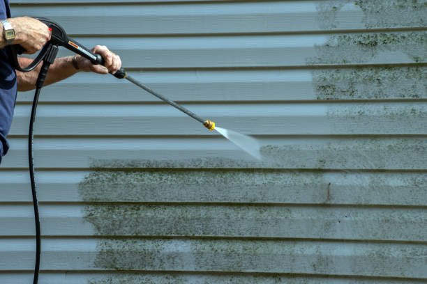 Best Patio and Deck Pressure Washing  in West Wyomissing, PA